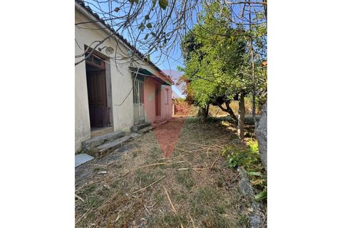 Farm i Valenca, Viana do Castelo, Valenca - € 220.000 | Ref: FIN_0283 - foto 4