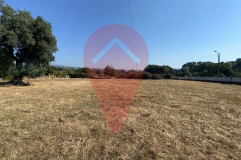 Farm i Valenca, Viana do Castelo, Valenca - € 220.000 | Ref: FIN_0283 - foto 8