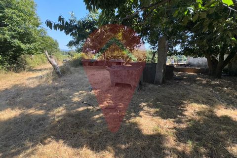 Farm i Valenca, Viana do Castelo, Valenca - € 220.000 | Ref: FIN_0283 - foto 9
