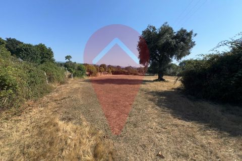 Farm i Valenca, Viana do Castelo, Valenca - € 220.000 | Ref: FIN_0283 - foto 10