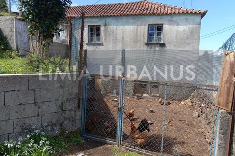 Villa i Serdedelo, Viana do Castelo, Serdedelo - € 105.000 | Ref: CAS_1090 - foto 17