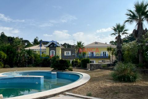 Villa i Sintra, Lisbon, Sintra - € 2.100.000 | Ref: M-29214 - foto 27