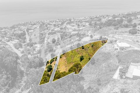 Byhus i Calheta, Madeira, Calheta - € 370.000 | Ref: KWPT-019435 - foto 3