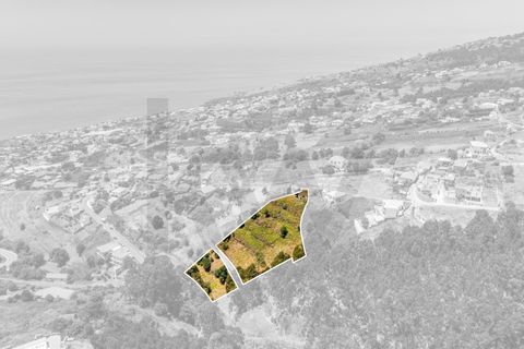 Byhus i Calheta, Madeira, Calheta - € 370.000 | Ref: KWPT-019435 - foto 7