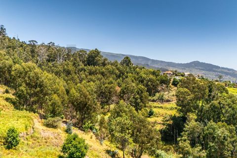 Byhus i Calheta, Madeira, Calheta - € 370.000 | Ref: KWPT-019435 - foto 19