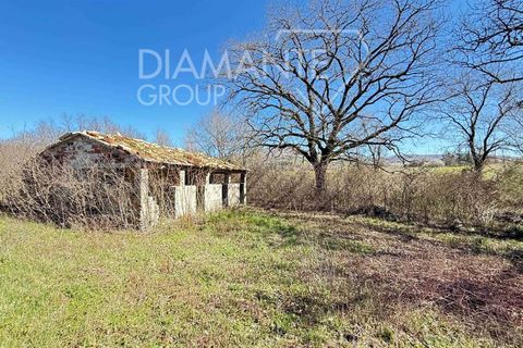 Farm i Gubbio, Perugia, Gubbio - € 650.000 | Ref: AZ377 - foto 5