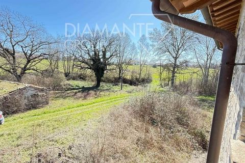 Farm i Gubbio, Perugia, Gubbio - € 650.000 | Ref: AZ377 - foto 9