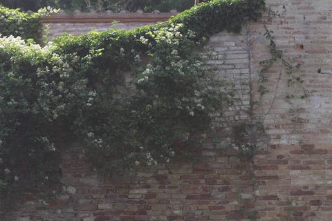 Farm hus i Deruta, Perugia, Deruta - € 120.000 | Ref: PG6395 - foto 9