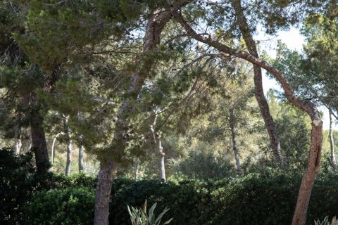 Byhus i Calvia, Mallorca, Calvia - € 2.900.000 | Ref: SPCRM3211 - foto 21