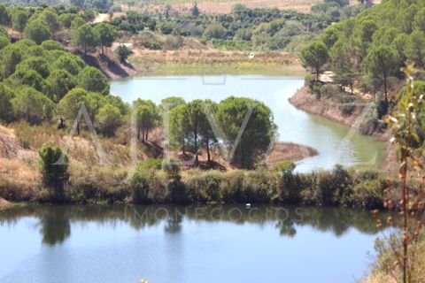 Landejendom i Silves, Faro, Silves - € 7.900.000 | Ref: EXP_346 - foto 2