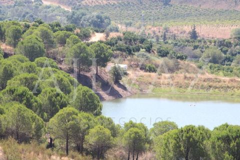 Landejendom i Silves, Faro, Silves - € 7.900.000 | Ref: EXP_346 - foto 4