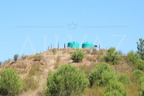 Landejendom i Silves, Faro, Silves - € 7.900.000 | Ref: EXP_346 - foto 6