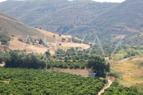 Landejendom i Silves, Faro, Silves - € 7.900.000 | Ref: EXP_346 - foto 7