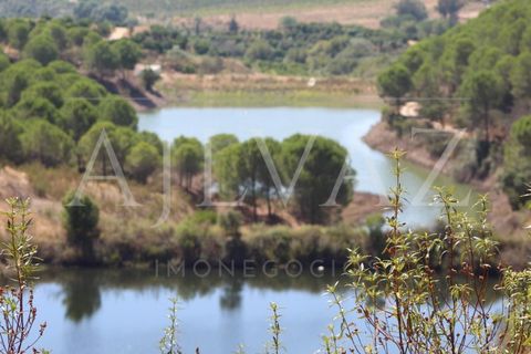 Landejendom i Silves, Faro, Silves - € 7.900.000 | Ref: EXP_346 - foto 8