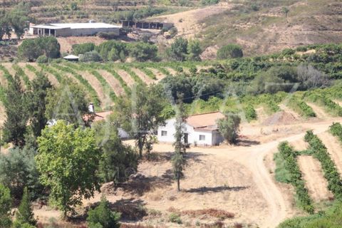 Landejendom i Silves, Faro, Silves - € 7.900.000 | Ref: EXP_346 - foto 9
