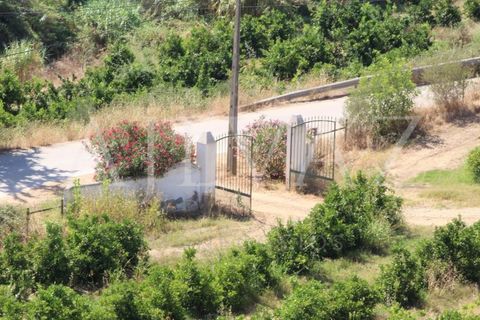Landejendom i Silves, Faro, Silves - € 7.900.000 | Ref: EXP_346 - foto 11