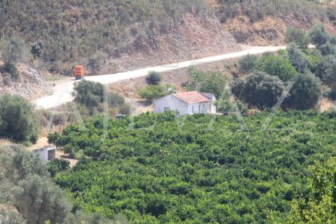 Landejendom i Silves, Faro, Silves - € 7.900.000 | Ref: EXP_346 - foto 12