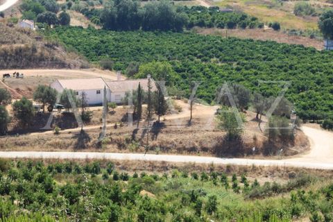Landejendom i Silves, Faro, Silves - € 7.900.000 | Ref: EXP_346 - foto 15