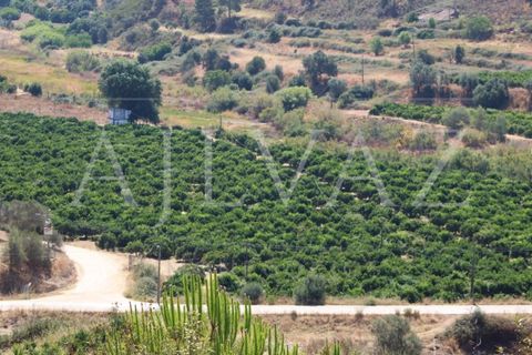 Landejendom i Silves, Faro, Silves - € 7.900.000 | Ref: EXP_346 - foto 16