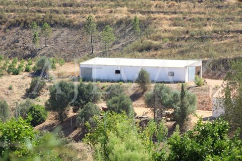 Landejendom i Silves, Faro, Silves - € 7.900.000 | Ref: EXP_346 - foto 17