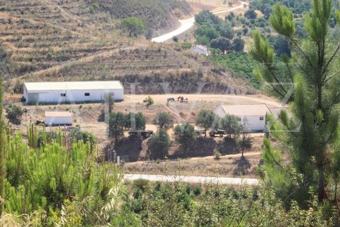 Landejendom i Silves, Faro, Silves - € 7.900.000 | Ref: EXP_346 - foto 19