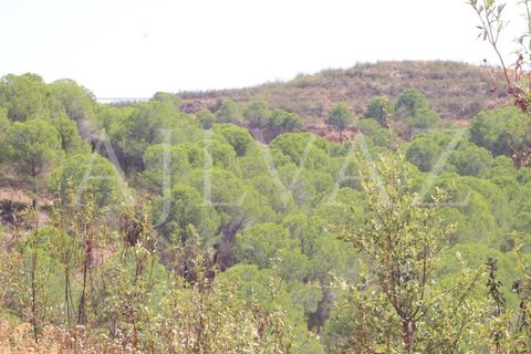 Landejendom i Silves, Faro, Silves - € 7.900.000 | Ref: EXP_346 - foto 20