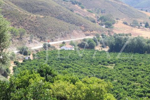 Landejendom i Silves, Faro, Silves - € 7.900.000 | Ref: EXP_346 - foto 21
