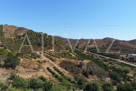 Landejendom i Silves, Faro, Silves - € 7.900.000 | Ref: EXP_346 - foto 25
