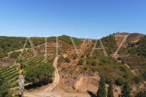 Landejendom i Silves, Faro, Silves - € 7.900.000 | Ref: EXP_346 - foto 26