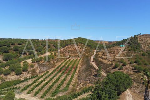 Landejendom i Silves, Faro, Silves - € 7.900.000 | Ref: EXP_346 - foto 27