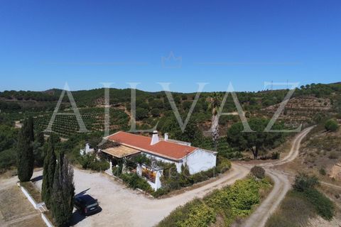 Landejendom i Silves, Faro, Silves - € 7.900.000 | Ref: EXP_346 - foto 28