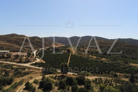 Landejendom i Silves, Faro, Silves - € 7.900.000 | Ref: EXP_346 - foto 30