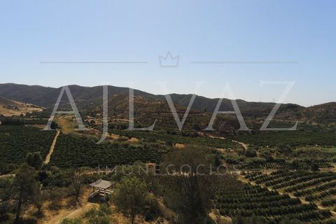 Landejendom i Silves, Faro, Silves - € 7.900.000 | Ref: EXP_346 - foto 34