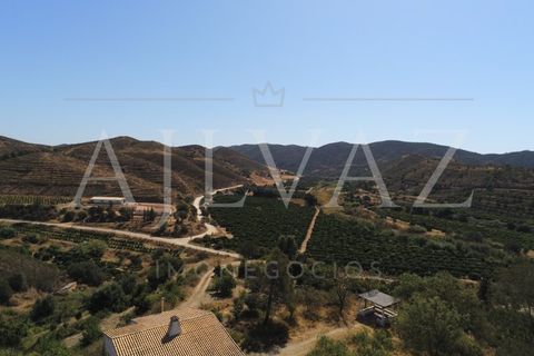 Landejendom i Silves, Faro, Silves - € 7.900.000 | Ref: EXP_346 - foto 35