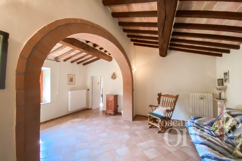 Villa i Volterra, Pisa, Volterra - € 760.000 | Ref: 19113 - foto 6