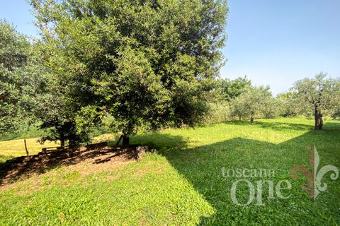 Villa i Volterra, Pisa, Volterra - € 760.000 | Ref: 19113 - foto 30