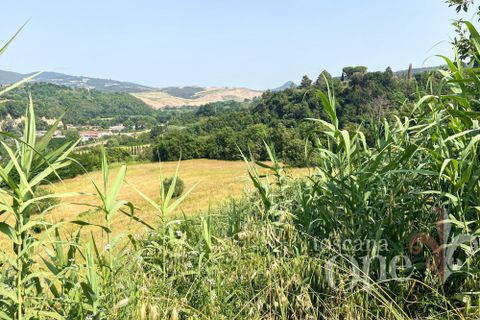 Villa i Volterra, Pisa, Volterra - € 760.000 | Ref: 19113 - foto 36