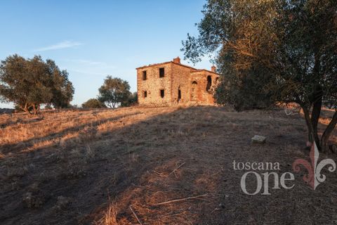 Villa i Asciano, Siena, Asciano - € 700.000 | Ref: 19087-TO - foto 3