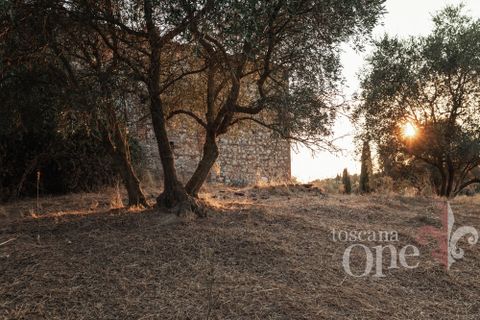 Villa i Asciano, Siena, Asciano - € 700.000 | Ref: 19087-TO - foto 11