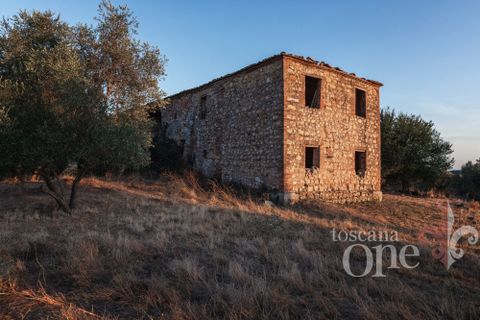 Villa i Asciano, Siena, Asciano - € 700.000 | Ref: 19087-TO - foto 12