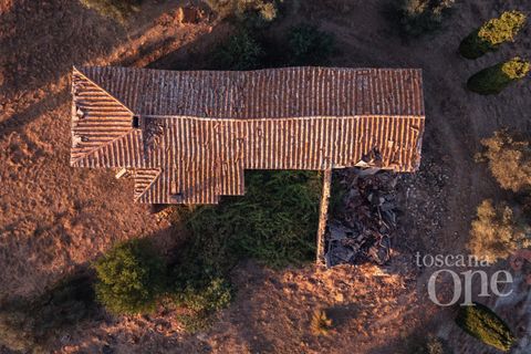 Villa i Asciano, Siena, Asciano - € 700.000 | Ref: 19087-TO - foto 25