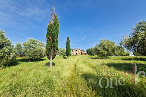 Villa i Asciano, Siena, Asciano - € 700.000 | Ref: 19087-TO - foto 31