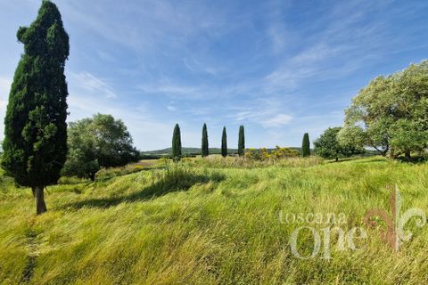 Villa i Asciano, Siena, Asciano - € 700.000 | Ref: 19087-TO - foto 32