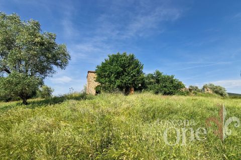 Villa i Asciano, Siena, Asciano - € 700.000 | Ref: 19087-TO - foto 33