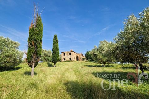 Villa i Asciano, Siena, Asciano - € 700.000 | Ref: 19087-TO - foto 35