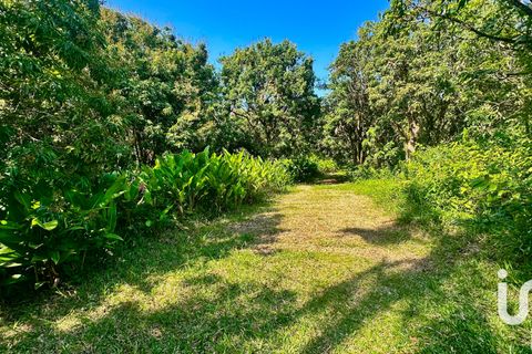 Villa i Saint-Benoit, La Reunion, Saint-Benoit - € 1.200.000 | Ref: 38215 - foto 11