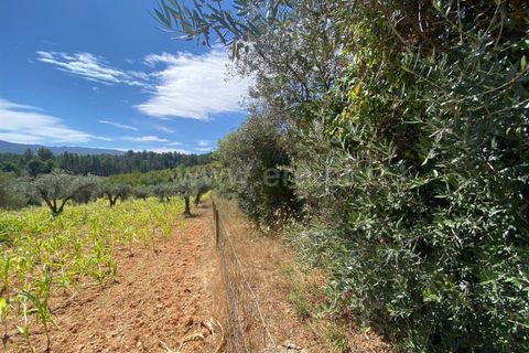 Tomt i Fundao, Castelo Branco, Fundao - € 8 500 | Ref: 255250150 - foto 2