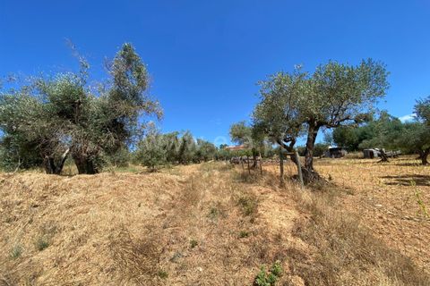 Tomt i Fundao, Castelo Branco, Fundao - € 8 500 | Ref: 255250150 - foto 3