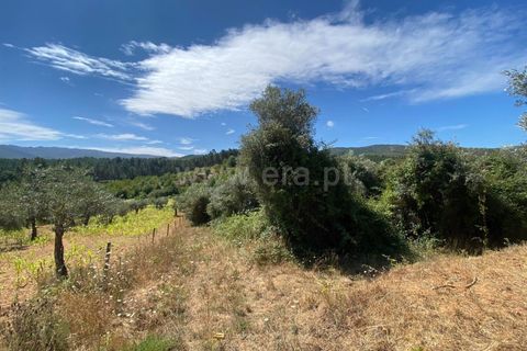 Tomt i Fundao, Castelo Branco, Fundao - € 8 500 | Ref: 255250150 - foto 5