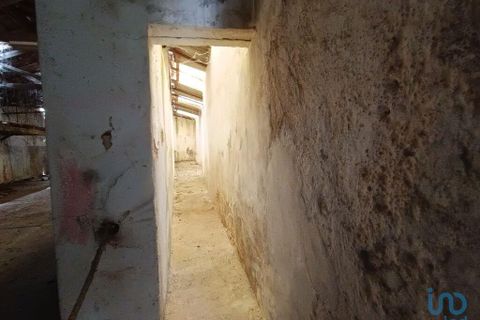 Terra a Alenquer, Lisbon, Alenquer - € 350.000 | Ref: 139289 - foto 8